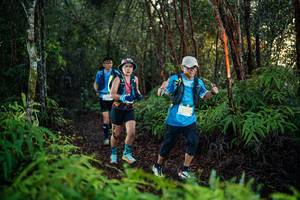 BIB: 
                            <button type="button" onclick="openModal(26441403)" class="btn btn-primary btn-sm float-right btn-popup" data-toggle="modal" data-target=".modal-high-quality">
                        <i class="fas fa-shopping-cart"></i> Add to Cart
                    </button>
                                            <button type="button" onclick="isThisMe(26441403, true)" class="btn btn-success btn-sm float-right btn-popup btn-isme hidden" data-toggle="tooltip" data-placement="bottom" title="นี่คือรูปของคุณใช่ไหม คลิกที่นี่เพื่อเอาเข้าอัลบั้ม">
                        <i class="fas fa-plus"></i> Add to album
                    </button>
                    <button type="button" onclick="isThisMe(26441403, false)" class="btn btn-warning btn-sm float-right btn-popup btn-isnotme hidden">
                        <i class="fas fa-ban"></i> Remove from album
                    </button>