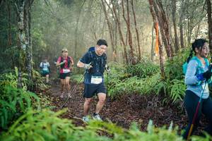 BIB: 
                            <button type="button" onclick="openModal(26443799)" class="btn btn-primary btn-sm float-right btn-popup" data-toggle="modal" data-target=".modal-high-quality">
                        <i class="fas fa-shopping-cart"></i> Add to Cart
                    </button>
                                            <button type="button" onclick="isThisMe(26443799, true)" class="btn btn-success btn-sm float-right btn-popup btn-isme hidden" data-toggle="tooltip" data-placement="bottom" title="นี่คือรูปของคุณใช่ไหม คลิกที่นี่เพื่อเอาเข้าอัลบั้ม">
                        <i class="fas fa-plus"></i> Add to album
                    </button>
                    <button type="button" onclick="isThisMe(26443799, false)" class="btn btn-warning btn-sm float-right btn-popup btn-isnotme hidden">
                        <i class="fas fa-ban"></i> Remove from album
                    </button>