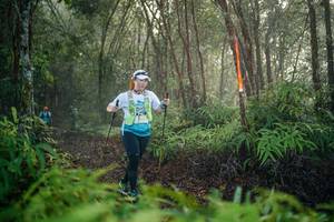 BIB: 
                            <button type="button" onclick="openModal(26445617)" class="btn btn-primary btn-sm float-right btn-popup" data-toggle="modal" data-target=".modal-high-quality">
                        <i class="fas fa-shopping-cart"></i> Add to Cart
                    </button>
                                            <button type="button" onclick="isThisMe(26445617, true)" class="btn btn-success btn-sm float-right btn-popup btn-isme hidden" data-toggle="tooltip" data-placement="bottom" title="นี่คือรูปของคุณใช่ไหม คลิกที่นี่เพื่อเอาเข้าอัลบั้ม">
                        <i class="fas fa-plus"></i> Add to album
                    </button>
                    <button type="button" onclick="isThisMe(26445617, false)" class="btn btn-warning btn-sm float-right btn-popup btn-isnotme hidden">
                        <i class="fas fa-ban"></i> Remove from album
                    </button>