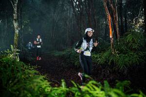 BIB: 
                            <button type="button" onclick="openModal(26436736)" class="btn btn-primary btn-sm float-right btn-popup" data-toggle="modal" data-target=".modal-high-quality">
                        <i class="fas fa-shopping-cart"></i> Add to Cart
                    </button>
                                            <button type="button" onclick="isThisMe(26436736, true)" class="btn btn-success btn-sm float-right btn-popup btn-isme hidden" data-toggle="tooltip" data-placement="bottom" title="นี่คือรูปของคุณใช่ไหม คลิกที่นี่เพื่อเอาเข้าอัลบั้ม">
                        <i class="fas fa-plus"></i> Add to album
                    </button>
                    <button type="button" onclick="isThisMe(26436736, false)" class="btn btn-warning btn-sm float-right btn-popup btn-isnotme hidden">
                        <i class="fas fa-ban"></i> Remove from album
                    </button>