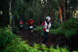 BIB: 
                            <button type="button" onclick="openModal(26440417)" class="btn btn-primary btn-sm float-right btn-popup" data-toggle="modal" data-target=".modal-high-quality">
                        <i class="fas fa-shopping-cart"></i> Add to Cart
                    </button>
                                            <button type="button" onclick="isThisMe(26440417, true)" class="btn btn-success btn-sm float-right btn-popup btn-isme hidden" data-toggle="tooltip" data-placement="bottom" title="นี่คือรูปของคุณใช่ไหม คลิกที่นี่เพื่อเอาเข้าอัลบั้ม">
                        <i class="fas fa-plus"></i> Add to album
                    </button>
                    <button type="button" onclick="isThisMe(26440417, false)" class="btn btn-warning btn-sm float-right btn-popup btn-isnotme hidden">
                        <i class="fas fa-ban"></i> Remove from album
                    </button>