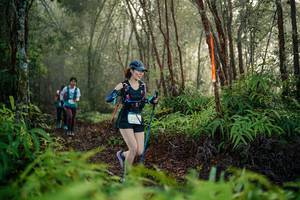 BIB: 
                            <button type="button" onclick="openModal(26445695)" class="btn btn-primary btn-sm float-right btn-popup" data-toggle="modal" data-target=".modal-high-quality">
                        <i class="fas fa-shopping-cart"></i> Add to Cart
                    </button>
                                            <button type="button" onclick="isThisMe(26445695, true)" class="btn btn-success btn-sm float-right btn-popup btn-isme hidden" data-toggle="tooltip" data-placement="bottom" title="นี่คือรูปของคุณใช่ไหม คลิกที่นี่เพื่อเอาเข้าอัลบั้ม">
                        <i class="fas fa-plus"></i> Add to album
                    </button>
                    <button type="button" onclick="isThisMe(26445695, false)" class="btn btn-warning btn-sm float-right btn-popup btn-isnotme hidden">
                        <i class="fas fa-ban"></i> Remove from album
                    </button>