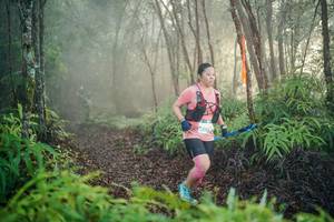 BIB: 
                            <button type="button" onclick="openModal(26444703)" class="btn btn-primary btn-sm float-right btn-popup" data-toggle="modal" data-target=".modal-high-quality">
                        <i class="fas fa-shopping-cart"></i> Add to Cart
                    </button>
                                            <button type="button" onclick="isThisMe(26444703, true)" class="btn btn-success btn-sm float-right btn-popup btn-isme hidden" data-toggle="tooltip" data-placement="bottom" title="นี่คือรูปของคุณใช่ไหม คลิกที่นี่เพื่อเอาเข้าอัลบั้ม">
                        <i class="fas fa-plus"></i> Add to album
                    </button>
                    <button type="button" onclick="isThisMe(26444703, false)" class="btn btn-warning btn-sm float-right btn-popup btn-isnotme hidden">
                        <i class="fas fa-ban"></i> Remove from album
                    </button>