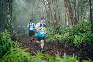 BIB: 
                            <button type="button" onclick="openModal(26444982)" class="btn btn-primary btn-sm float-right btn-popup" data-toggle="modal" data-target=".modal-high-quality">
                        <i class="fas fa-shopping-cart"></i> Add to Cart
                    </button>
                                            <button type="button" onclick="isThisMe(26444982, true)" class="btn btn-success btn-sm float-right btn-popup btn-isme hidden" data-toggle="tooltip" data-placement="bottom" title="นี่คือรูปของคุณใช่ไหม คลิกที่นี่เพื่อเอาเข้าอัลบั้ม">
                        <i class="fas fa-plus"></i> Add to album
                    </button>
                    <button type="button" onclick="isThisMe(26444982, false)" class="btn btn-warning btn-sm float-right btn-popup btn-isnotme hidden">
                        <i class="fas fa-ban"></i> Remove from album
                    </button>