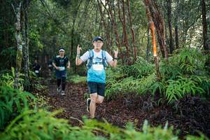 BIB: 
                            <button type="button" onclick="openModal(26443425)" class="btn btn-primary btn-sm float-right btn-popup" data-toggle="modal" data-target=".modal-high-quality">
                        <i class="fas fa-shopping-cart"></i> Add to Cart
                    </button>
                                            <button type="button" onclick="isThisMe(26443425, true)" class="btn btn-success btn-sm float-right btn-popup btn-isme hidden" data-toggle="tooltip" data-placement="bottom" title="นี่คือรูปของคุณใช่ไหม คลิกที่นี่เพื่อเอาเข้าอัลบั้ม">
                        <i class="fas fa-plus"></i> Add to album
                    </button>
                    <button type="button" onclick="isThisMe(26443425, false)" class="btn btn-warning btn-sm float-right btn-popup btn-isnotme hidden">
                        <i class="fas fa-ban"></i> Remove from album
                    </button>