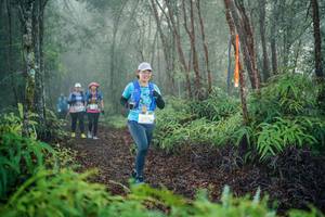 BIB: 
                            <button type="button" onclick="openModal(26444917)" class="btn btn-primary btn-sm float-right btn-popup" data-toggle="modal" data-target=".modal-high-quality">
                        <i class="fas fa-shopping-cart"></i> Add to Cart
                    </button>
                                            <button type="button" onclick="isThisMe(26444917, true)" class="btn btn-success btn-sm float-right btn-popup btn-isme hidden" data-toggle="tooltip" data-placement="bottom" title="นี่คือรูปของคุณใช่ไหม คลิกที่นี่เพื่อเอาเข้าอัลบั้ม">
                        <i class="fas fa-plus"></i> Add to album
                    </button>
                    <button type="button" onclick="isThisMe(26444917, false)" class="btn btn-warning btn-sm float-right btn-popup btn-isnotme hidden">
                        <i class="fas fa-ban"></i> Remove from album
                    </button>