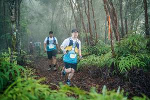 BIB: 
                            <button type="button" onclick="openModal(26444987)" class="btn btn-primary btn-sm float-right btn-popup" data-toggle="modal" data-target=".modal-high-quality">
                        <i class="fas fa-shopping-cart"></i> Add to Cart
                    </button>
                                            <button type="button" onclick="isThisMe(26444987, true)" class="btn btn-success btn-sm float-right btn-popup btn-isme hidden" data-toggle="tooltip" data-placement="bottom" title="นี่คือรูปของคุณใช่ไหม คลิกที่นี่เพื่อเอาเข้าอัลบั้ม">
                        <i class="fas fa-plus"></i> Add to album
                    </button>
                    <button type="button" onclick="isThisMe(26444987, false)" class="btn btn-warning btn-sm float-right btn-popup btn-isnotme hidden">
                        <i class="fas fa-ban"></i> Remove from album
                    </button>