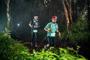 BIB: 
                            <button type="button" onclick="openModal(26434488)" class="btn btn-primary btn-sm float-right btn-popup" data-toggle="modal" data-target=".modal-high-quality">
                        <i class="fas fa-shopping-cart"></i> Add to Cart
                    </button>
                                            <button type="button" onclick="isThisMe(26434488, true)" class="btn btn-success btn-sm float-right btn-popup btn-isme hidden" data-toggle="tooltip" data-placement="bottom" title="นี่คือรูปของคุณใช่ไหม คลิกที่นี่เพื่อเอาเข้าอัลบั้ม">
                        <i class="fas fa-plus"></i> Add to album
                    </button>
                    <button type="button" onclick="isThisMe(26434488, false)" class="btn btn-warning btn-sm float-right btn-popup btn-isnotme hidden">
                        <i class="fas fa-ban"></i> Remove from album
                    </button>