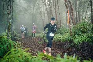 BIB: 
                            <button type="button" onclick="openModal(26445123)" class="btn btn-primary btn-sm float-right btn-popup" data-toggle="modal" data-target=".modal-high-quality">
                        <i class="fas fa-shopping-cart"></i> Add to Cart
                    </button>
                                            <button type="button" onclick="isThisMe(26445123, true)" class="btn btn-success btn-sm float-right btn-popup btn-isme hidden" data-toggle="tooltip" data-placement="bottom" title="นี่คือรูปของคุณใช่ไหม คลิกที่นี่เพื่อเอาเข้าอัลบั้ม">
                        <i class="fas fa-plus"></i> Add to album
                    </button>
                    <button type="button" onclick="isThisMe(26445123, false)" class="btn btn-warning btn-sm float-right btn-popup btn-isnotme hidden">
                        <i class="fas fa-ban"></i> Remove from album
                    </button>