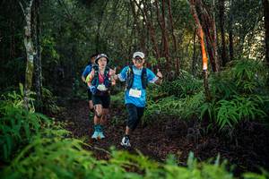 BIB: 
                            <button type="button" onclick="openModal(26441395)" class="btn btn-primary btn-sm float-right btn-popup" data-toggle="modal" data-target=".modal-high-quality">
                        <i class="fas fa-shopping-cart"></i> Add to Cart
                    </button>
                                            <button type="button" onclick="isThisMe(26441395, true)" class="btn btn-success btn-sm float-right btn-popup btn-isme hidden" data-toggle="tooltip" data-placement="bottom" title="นี่คือรูปของคุณใช่ไหม คลิกที่นี่เพื่อเอาเข้าอัลบั้ม">
                        <i class="fas fa-plus"></i> Add to album
                    </button>
                    <button type="button" onclick="isThisMe(26441395, false)" class="btn btn-warning btn-sm float-right btn-popup btn-isnotme hidden">
                        <i class="fas fa-ban"></i> Remove from album
                    </button>