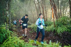 BIB: 
                            <button type="button" onclick="openModal(26443796)" class="btn btn-primary btn-sm float-right btn-popup" data-toggle="modal" data-target=".modal-high-quality">
                        <i class="fas fa-shopping-cart"></i> Add to Cart
                    </button>
                                            <button type="button" onclick="isThisMe(26443796, true)" class="btn btn-success btn-sm float-right btn-popup btn-isme hidden" data-toggle="tooltip" data-placement="bottom" title="นี่คือรูปของคุณใช่ไหม คลิกที่นี่เพื่อเอาเข้าอัลบั้ม">
                        <i class="fas fa-plus"></i> Add to album
                    </button>
                    <button type="button" onclick="isThisMe(26443796, false)" class="btn btn-warning btn-sm float-right btn-popup btn-isnotme hidden">
                        <i class="fas fa-ban"></i> Remove from album
                    </button>