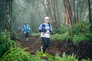 BIB: 
                            <button type="button" onclick="openModal(26444963)" class="btn btn-primary btn-sm float-right btn-popup" data-toggle="modal" data-target=".modal-high-quality">
                        <i class="fas fa-shopping-cart"></i> Add to Cart
                    </button>
                                            <button type="button" onclick="isThisMe(26444963, true)" class="btn btn-success btn-sm float-right btn-popup btn-isme hidden" data-toggle="tooltip" data-placement="bottom" title="นี่คือรูปของคุณใช่ไหม คลิกที่นี่เพื่อเอาเข้าอัลบั้ม">
                        <i class="fas fa-plus"></i> Add to album
                    </button>
                    <button type="button" onclick="isThisMe(26444963, false)" class="btn btn-warning btn-sm float-right btn-popup btn-isnotme hidden">
                        <i class="fas fa-ban"></i> Remove from album
                    </button>