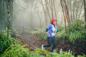 BIB: 
                            <button type="button" onclick="openModal(26445416)" class="btn btn-primary btn-sm float-right btn-popup" data-toggle="modal" data-target=".modal-high-quality">
                        <i class="fas fa-shopping-cart"></i> Add to Cart
                    </button>
                                            <button type="button" onclick="isThisMe(26445416, true)" class="btn btn-success btn-sm float-right btn-popup btn-isme hidden" data-toggle="tooltip" data-placement="bottom" title="นี่คือรูปของคุณใช่ไหม คลิกที่นี่เพื่อเอาเข้าอัลบั้ม">
                        <i class="fas fa-plus"></i> Add to album
                    </button>
                    <button type="button" onclick="isThisMe(26445416, false)" class="btn btn-warning btn-sm float-right btn-popup btn-isnotme hidden">
                        <i class="fas fa-ban"></i> Remove from album
                    </button>