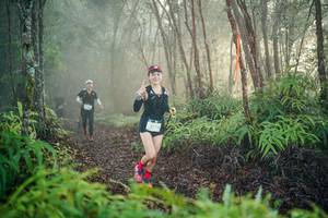 BIB: 
                            <button type="button" onclick="openModal(26444704)" class="btn btn-primary btn-sm float-right btn-popup" data-toggle="modal" data-target=".modal-high-quality">
                        <i class="fas fa-shopping-cart"></i> Add to Cart
                    </button>
                                            <button type="button" onclick="isThisMe(26444704, true)" class="btn btn-success btn-sm float-right btn-popup btn-isme hidden" data-toggle="tooltip" data-placement="bottom" title="นี่คือรูปของคุณใช่ไหม คลิกที่นี่เพื่อเอาเข้าอัลบั้ม">
                        <i class="fas fa-plus"></i> Add to album
                    </button>
                    <button type="button" onclick="isThisMe(26444704, false)" class="btn btn-warning btn-sm float-right btn-popup btn-isnotme hidden">
                        <i class="fas fa-ban"></i> Remove from album
                    </button>