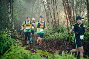 BIB: 
                            <button type="button" onclick="openModal(26443954)" class="btn btn-primary btn-sm float-right btn-popup" data-toggle="modal" data-target=".modal-high-quality">
                        <i class="fas fa-shopping-cart"></i> Add to Cart
                    </button>
                                            <button type="button" onclick="isThisMe(26443954, true)" class="btn btn-success btn-sm float-right btn-popup btn-isme hidden" data-toggle="tooltip" data-placement="bottom" title="นี่คือรูปของคุณใช่ไหม คลิกที่นี่เพื่อเอาเข้าอัลบั้ม">
                        <i class="fas fa-plus"></i> Add to album
                    </button>
                    <button type="button" onclick="isThisMe(26443954, false)" class="btn btn-warning btn-sm float-right btn-popup btn-isnotme hidden">
                        <i class="fas fa-ban"></i> Remove from album
                    </button>