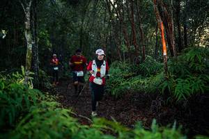 BIB: 
                            <button type="button" onclick="openModal(26440411)" class="btn btn-primary btn-sm float-right btn-popup" data-toggle="modal" data-target=".modal-high-quality">
                        <i class="fas fa-shopping-cart"></i> Add to Cart
                    </button>
                                            <button type="button" onclick="isThisMe(26440411, true)" class="btn btn-success btn-sm float-right btn-popup btn-isme hidden" data-toggle="tooltip" data-placement="bottom" title="นี่คือรูปของคุณใช่ไหม คลิกที่นี่เพื่อเอาเข้าอัลบั้ม">
                        <i class="fas fa-plus"></i> Add to album
                    </button>
                    <button type="button" onclick="isThisMe(26440411, false)" class="btn btn-warning btn-sm float-right btn-popup btn-isnotme hidden">
                        <i class="fas fa-ban"></i> Remove from album
                    </button>