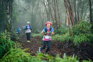 BIB: 
                            <button type="button" onclick="openModal(26444942)" class="btn btn-primary btn-sm float-right btn-popup" data-toggle="modal" data-target=".modal-high-quality">
                        <i class="fas fa-shopping-cart"></i> Add to Cart
                    </button>
                                            <button type="button" onclick="isThisMe(26444942, true)" class="btn btn-success btn-sm float-right btn-popup btn-isme hidden" data-toggle="tooltip" data-placement="bottom" title="นี่คือรูปของคุณใช่ไหม คลิกที่นี่เพื่อเอาเข้าอัลบั้ม">
                        <i class="fas fa-plus"></i> Add to album
                    </button>
                    <button type="button" onclick="isThisMe(26444942, false)" class="btn btn-warning btn-sm float-right btn-popup btn-isnotme hidden">
                        <i class="fas fa-ban"></i> Remove from album
                    </button>