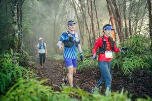 BIB: 
                            <button type="button" onclick="openModal(26444387)" class="btn btn-primary btn-sm float-right btn-popup" data-toggle="modal" data-target=".modal-high-quality">
                        <i class="fas fa-shopping-cart"></i> Add to Cart
                    </button>
                                            <button type="button" onclick="isThisMe(26444387, true)" class="btn btn-success btn-sm float-right btn-popup btn-isme hidden" data-toggle="tooltip" data-placement="bottom" title="นี่คือรูปของคุณใช่ไหม คลิกที่นี่เพื่อเอาเข้าอัลบั้ม">
                        <i class="fas fa-plus"></i> Add to album
                    </button>
                    <button type="button" onclick="isThisMe(26444387, false)" class="btn btn-warning btn-sm float-right btn-popup btn-isnotme hidden">
                        <i class="fas fa-ban"></i> Remove from album
                    </button>