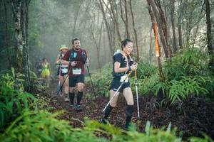 BIB: 
                            <button type="button" onclick="openModal(26444764)" class="btn btn-primary btn-sm float-right btn-popup" data-toggle="modal" data-target=".modal-high-quality">
                        <i class="fas fa-shopping-cart"></i> Add to Cart
                    </button>
                                            <button type="button" onclick="isThisMe(26444764, true)" class="btn btn-success btn-sm float-right btn-popup btn-isme hidden" data-toggle="tooltip" data-placement="bottom" title="นี่คือรูปของคุณใช่ไหม คลิกที่นี่เพื่อเอาเข้าอัลบั้ม">
                        <i class="fas fa-plus"></i> Add to album
                    </button>
                    <button type="button" onclick="isThisMe(26444764, false)" class="btn btn-warning btn-sm float-right btn-popup btn-isnotme hidden">
                        <i class="fas fa-ban"></i> Remove from album
                    </button>