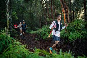 BIB: 
                            <button type="button" onclick="openModal(26440974)" class="btn btn-primary btn-sm float-right btn-popup" data-toggle="modal" data-target=".modal-high-quality">
                        <i class="fas fa-shopping-cart"></i> Add to Cart
                    </button>
                                            <button type="button" onclick="isThisMe(26440974, true)" class="btn btn-success btn-sm float-right btn-popup btn-isme hidden" data-toggle="tooltip" data-placement="bottom" title="นี่คือรูปของคุณใช่ไหม คลิกที่นี่เพื่อเอาเข้าอัลบั้ม">
                        <i class="fas fa-plus"></i> Add to album
                    </button>
                    <button type="button" onclick="isThisMe(26440974, false)" class="btn btn-warning btn-sm float-right btn-popup btn-isnotme hidden">
                        <i class="fas fa-ban"></i> Remove from album
                    </button>