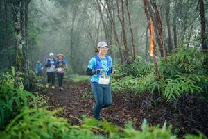 BIB: 
                            <button type="button" onclick="openModal(26444927)" class="btn btn-primary btn-sm float-right btn-popup" data-toggle="modal" data-target=".modal-high-quality">
                        <i class="fas fa-shopping-cart"></i> Add to Cart
                    </button>
                                            <button type="button" onclick="isThisMe(26444927, true)" class="btn btn-success btn-sm float-right btn-popup btn-isme hidden" data-toggle="tooltip" data-placement="bottom" title="นี่คือรูปของคุณใช่ไหม คลิกที่นี่เพื่อเอาเข้าอัลบั้ม">
                        <i class="fas fa-plus"></i> Add to album
                    </button>
                    <button type="button" onclick="isThisMe(26444927, false)" class="btn btn-warning btn-sm float-right btn-popup btn-isnotme hidden">
                        <i class="fas fa-ban"></i> Remove from album
                    </button>