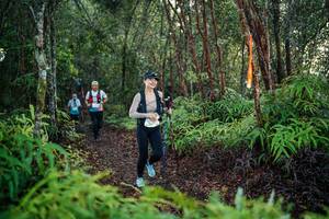 BIB: 
                            <button type="button" onclick="openModal(26443146)" class="btn btn-primary btn-sm float-right btn-popup" data-toggle="modal" data-target=".modal-high-quality">
                        <i class="fas fa-shopping-cart"></i> Add to Cart
                    </button>
                                            <button type="button" onclick="isThisMe(26443146, true)" class="btn btn-success btn-sm float-right btn-popup btn-isme hidden" data-toggle="tooltip" data-placement="bottom" title="นี่คือรูปของคุณใช่ไหม คลิกที่นี่เพื่อเอาเข้าอัลบั้ม">
                        <i class="fas fa-plus"></i> Add to album
                    </button>
                    <button type="button" onclick="isThisMe(26443146, false)" class="btn btn-warning btn-sm float-right btn-popup btn-isnotme hidden">
                        <i class="fas fa-ban"></i> Remove from album
                    </button>