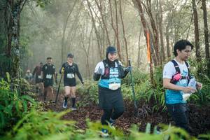 BIB: 
                            <button type="button" onclick="openModal(26445537)" class="btn btn-primary btn-sm float-right btn-popup" data-toggle="modal" data-target=".modal-high-quality">
                        <i class="fas fa-shopping-cart"></i> Add to Cart
                    </button>
                                            <button type="button" onclick="isThisMe(26445537, true)" class="btn btn-success btn-sm float-right btn-popup btn-isme hidden" data-toggle="tooltip" data-placement="bottom" title="นี่คือรูปของคุณใช่ไหม คลิกที่นี่เพื่อเอาเข้าอัลบั้ม">
                        <i class="fas fa-plus"></i> Add to album
                    </button>
                    <button type="button" onclick="isThisMe(26445537, false)" class="btn btn-warning btn-sm float-right btn-popup btn-isnotme hidden">
                        <i class="fas fa-ban"></i> Remove from album
                    </button>