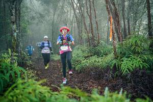 BIB: 
                            <button type="button" onclick="openModal(26444937)" class="btn btn-primary btn-sm float-right btn-popup" data-toggle="modal" data-target=".modal-high-quality">
                        <i class="fas fa-shopping-cart"></i> Add to Cart
                    </button>
                                            <button type="button" onclick="isThisMe(26444937, true)" class="btn btn-success btn-sm float-right btn-popup btn-isme hidden" data-toggle="tooltip" data-placement="bottom" title="นี่คือรูปของคุณใช่ไหม คลิกที่นี่เพื่อเอาเข้าอัลบั้ม">
                        <i class="fas fa-plus"></i> Add to album
                    </button>
                    <button type="button" onclick="isThisMe(26444937, false)" class="btn btn-warning btn-sm float-right btn-popup btn-isnotme hidden">
                        <i class="fas fa-ban"></i> Remove from album
                    </button>