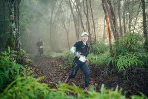 BIB: 
                            <button type="button" onclick="openModal(26444716)" class="btn btn-primary btn-sm float-right btn-popup" data-toggle="modal" data-target=".modal-high-quality">
                        <i class="fas fa-shopping-cart"></i> Add to Cart
                    </button>
                                            <button type="button" onclick="isThisMe(26444716, true)" class="btn btn-success btn-sm float-right btn-popup btn-isme hidden" data-toggle="tooltip" data-placement="bottom" title="นี่คือรูปของคุณใช่ไหม คลิกที่นี่เพื่อเอาเข้าอัลบั้ม">
                        <i class="fas fa-plus"></i> Add to album
                    </button>
                    <button type="button" onclick="isThisMe(26444716, false)" class="btn btn-warning btn-sm float-right btn-popup btn-isnotme hidden">
                        <i class="fas fa-ban"></i> Remove from album
                    </button>