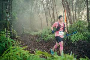 BIB: 
                            <button type="button" onclick="openModal(26444702)" class="btn btn-primary btn-sm float-right btn-popup" data-toggle="modal" data-target=".modal-high-quality">
                        <i class="fas fa-shopping-cart"></i> Add to Cart
                    </button>
                                            <button type="button" onclick="isThisMe(26444702, true)" class="btn btn-success btn-sm float-right btn-popup btn-isme hidden" data-toggle="tooltip" data-placement="bottom" title="นี่คือรูปของคุณใช่ไหม คลิกที่นี่เพื่อเอาเข้าอัลบั้ม">
                        <i class="fas fa-plus"></i> Add to album
                    </button>
                    <button type="button" onclick="isThisMe(26444702, false)" class="btn btn-warning btn-sm float-right btn-popup btn-isnotme hidden">
                        <i class="fas fa-ban"></i> Remove from album
                    </button>