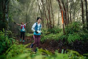 BIB: 
                            <button type="button" onclick="openModal(26445723)" class="btn btn-primary btn-sm float-right btn-popup" data-toggle="modal" data-target=".modal-high-quality">
                        <i class="fas fa-shopping-cart"></i> Add to Cart
                    </button>
                                            <button type="button" onclick="isThisMe(26445723, true)" class="btn btn-success btn-sm float-right btn-popup btn-isme hidden" data-toggle="tooltip" data-placement="bottom" title="นี่คือรูปของคุณใช่ไหม คลิกที่นี่เพื่อเอาเข้าอัลบั้ม">
                        <i class="fas fa-plus"></i> Add to album
                    </button>
                    <button type="button" onclick="isThisMe(26445723, false)" class="btn btn-warning btn-sm float-right btn-popup btn-isnotme hidden">
                        <i class="fas fa-ban"></i> Remove from album
                    </button>