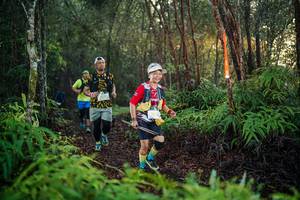 BIB: 
                            <button type="button" onclick="openModal(26441790)" class="btn btn-primary btn-sm float-right btn-popup" data-toggle="modal" data-target=".modal-high-quality">
                        <i class="fas fa-shopping-cart"></i> Add to Cart
                    </button>
                                            <button type="button" onclick="isThisMe(26441790, true)" class="btn btn-success btn-sm float-right btn-popup btn-isme hidden" data-toggle="tooltip" data-placement="bottom" title="นี่คือรูปของคุณใช่ไหม คลิกที่นี่เพื่อเอาเข้าอัลบั้ม">
                        <i class="fas fa-plus"></i> Add to album
                    </button>
                    <button type="button" onclick="isThisMe(26441790, false)" class="btn btn-warning btn-sm float-right btn-popup btn-isnotme hidden">
                        <i class="fas fa-ban"></i> Remove from album
                    </button>