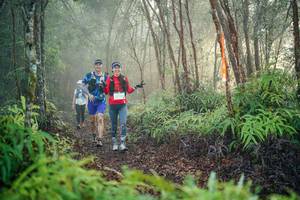 BIB: 
                            <button type="button" onclick="openModal(26444377)" class="btn btn-primary btn-sm float-right btn-popup" data-toggle="modal" data-target=".modal-high-quality">
                        <i class="fas fa-shopping-cart"></i> Add to Cart
                    </button>
                                            <button type="button" onclick="isThisMe(26444377, true)" class="btn btn-success btn-sm float-right btn-popup btn-isme hidden" data-toggle="tooltip" data-placement="bottom" title="นี่คือรูปของคุณใช่ไหม คลิกที่นี่เพื่อเอาเข้าอัลบั้ม">
                        <i class="fas fa-plus"></i> Add to album
                    </button>
                    <button type="button" onclick="isThisMe(26444377, false)" class="btn btn-warning btn-sm float-right btn-popup btn-isnotme hidden">
                        <i class="fas fa-ban"></i> Remove from album
                    </button>