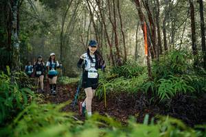 BIB: 
                            <button type="button" onclick="openModal(26445669)" class="btn btn-primary btn-sm float-right btn-popup" data-toggle="modal" data-target=".modal-high-quality">
                        <i class="fas fa-shopping-cart"></i> Add to Cart
                    </button>
                                            <button type="button" onclick="isThisMe(26445669, true)" class="btn btn-success btn-sm float-right btn-popup btn-isme hidden" data-toggle="tooltip" data-placement="bottom" title="นี่คือรูปของคุณใช่ไหม คลิกที่นี่เพื่อเอาเข้าอัลบั้ม">
                        <i class="fas fa-plus"></i> Add to album
                    </button>
                    <button type="button" onclick="isThisMe(26445669, false)" class="btn btn-warning btn-sm float-right btn-popup btn-isnotme hidden">
                        <i class="fas fa-ban"></i> Remove from album
                    </button>