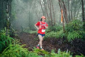 BIB: 
                            <button type="button" onclick="openModal(26444888)" class="btn btn-primary btn-sm float-right btn-popup" data-toggle="modal" data-target=".modal-high-quality">
                        <i class="fas fa-shopping-cart"></i> Add to Cart
                    </button>
                                            <button type="button" onclick="isThisMe(26444888, true)" class="btn btn-success btn-sm float-right btn-popup btn-isme hidden" data-toggle="tooltip" data-placement="bottom" title="นี่คือรูปของคุณใช่ไหม คลิกที่นี่เพื่อเอาเข้าอัลบั้ม">
                        <i class="fas fa-plus"></i> Add to album
                    </button>
                    <button type="button" onclick="isThisMe(26444888, false)" class="btn btn-warning btn-sm float-right btn-popup btn-isnotme hidden">
                        <i class="fas fa-ban"></i> Remove from album
                    </button>