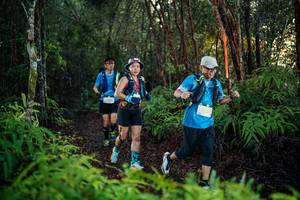 BIB: 
                            <button type="button" onclick="openModal(26441405)" class="btn btn-primary btn-sm float-right btn-popup" data-toggle="modal" data-target=".modal-high-quality">
                        <i class="fas fa-shopping-cart"></i> Add to Cart
                    </button>
                                            <button type="button" onclick="isThisMe(26441405, true)" class="btn btn-success btn-sm float-right btn-popup btn-isme hidden" data-toggle="tooltip" data-placement="bottom" title="นี่คือรูปของคุณใช่ไหม คลิกที่นี่เพื่อเอาเข้าอัลบั้ม">
                        <i class="fas fa-plus"></i> Add to album
                    </button>
                    <button type="button" onclick="isThisMe(26441405, false)" class="btn btn-warning btn-sm float-right btn-popup btn-isnotme hidden">
                        <i class="fas fa-ban"></i> Remove from album
                    </button>