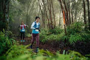 BIB: 
                            <button type="button" onclick="openModal(26445716)" class="btn btn-primary btn-sm float-right btn-popup" data-toggle="modal" data-target=".modal-high-quality">
                        <i class="fas fa-shopping-cart"></i> Add to Cart
                    </button>
                                            <button type="button" onclick="isThisMe(26445716, true)" class="btn btn-success btn-sm float-right btn-popup btn-isme hidden" data-toggle="tooltip" data-placement="bottom" title="นี่คือรูปของคุณใช่ไหม คลิกที่นี่เพื่อเอาเข้าอัลบั้ม">
                        <i class="fas fa-plus"></i> Add to album
                    </button>
                    <button type="button" onclick="isThisMe(26445716, false)" class="btn btn-warning btn-sm float-right btn-popup btn-isnotme hidden">
                        <i class="fas fa-ban"></i> Remove from album
                    </button>