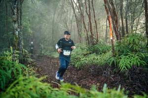 BIB: 
                            <button type="button" onclick="openModal(26444057)" class="btn btn-primary btn-sm float-right btn-popup" data-toggle="modal" data-target=".modal-high-quality">
                        <i class="fas fa-shopping-cart"></i> Add to Cart
                    </button>
                                            <button type="button" onclick="isThisMe(26444057, true)" class="btn btn-success btn-sm float-right btn-popup btn-isme hidden" data-toggle="tooltip" data-placement="bottom" title="นี่คือรูปของคุณใช่ไหม คลิกที่นี่เพื่อเอาเข้าอัลบั้ม">
                        <i class="fas fa-plus"></i> Add to album
                    </button>
                    <button type="button" onclick="isThisMe(26444057, false)" class="btn btn-warning btn-sm float-right btn-popup btn-isnotme hidden">
                        <i class="fas fa-ban"></i> Remove from album
                    </button>