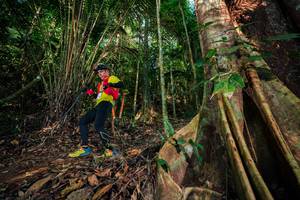 BIB: 
                            <button type="button" onclick="openModal(28570954)" class="btn btn-primary btn-sm float-right btn-popup" data-toggle="modal" data-target=".modal-high-quality">
                        <i class="fas fa-shopping-cart"></i> Add to Cart
                    </button>
                                            <button type="button" onclick="isThisMe(28570954, true)" class="btn btn-success btn-sm float-right btn-popup btn-isme hidden" data-toggle="tooltip" data-placement="bottom" title="นี่คือรูปของคุณใช่ไหม คลิกที่นี่เพื่อเอาเข้าอัลบั้ม">
                        <i class="fas fa-plus"></i> Add to album
                    </button>
                    <button type="button" onclick="isThisMe(28570954, false)" class="btn btn-warning btn-sm float-right btn-popup btn-isnotme hidden">
                        <i class="fas fa-ban"></i> Remove from album
                    </button>