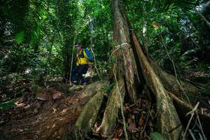 BIB: 
                            <button type="button" onclick="openModal(28584230)" class="btn btn-primary btn-sm float-right btn-popup" data-toggle="modal" data-target=".modal-high-quality">
                        <i class="fas fa-shopping-cart"></i> Add to Cart
                    </button>
                                            <button type="button" onclick="isThisMe(28584230, true)" class="btn btn-success btn-sm float-right btn-popup btn-isme hidden" data-toggle="tooltip" data-placement="bottom" title="นี่คือรูปของคุณใช่ไหม คลิกที่นี่เพื่อเอาเข้าอัลบั้ม">
                        <i class="fas fa-plus"></i> Add to album
                    </button>
                    <button type="button" onclick="isThisMe(28584230, false)" class="btn btn-warning btn-sm float-right btn-popup btn-isnotme hidden">
                        <i class="fas fa-ban"></i> Remove from album
                    </button>