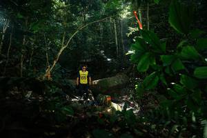 BIB: 
                            <button type="button" onclick="openModal(28244350)" class="btn btn-primary btn-sm float-right btn-popup" data-toggle="modal" data-target=".modal-high-quality">
                        <i class="fas fa-shopping-cart"></i> Add to Cart
                    </button>
                                            <button type="button" onclick="isThisMe(28244350, true)" class="btn btn-success btn-sm float-right btn-popup btn-isme hidden" data-toggle="tooltip" data-placement="bottom" title="นี่คือรูปของคุณใช่ไหม คลิกที่นี่เพื่อเอาเข้าอัลบั้ม">
                        <i class="fas fa-plus"></i> Add to album
                    </button>
                    <button type="button" onclick="isThisMe(28244350, false)" class="btn btn-warning btn-sm float-right btn-popup btn-isnotme hidden">
                        <i class="fas fa-ban"></i> Remove from album
                    </button>