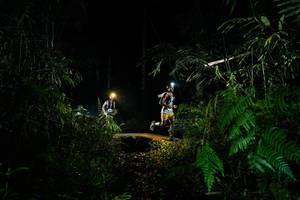 BIB: 
                            <button type="button" onclick="openModal(28294554)" class="btn btn-primary btn-sm float-right btn-popup" data-toggle="modal" data-target=".modal-high-quality">
                        <i class="fas fa-shopping-cart"></i> Add to Cart
                    </button>
                                            <button type="button" onclick="isThisMe(28294554, true)" class="btn btn-success btn-sm float-right btn-popup btn-isme hidden" data-toggle="tooltip" data-placement="bottom" title="นี่คือรูปของคุณใช่ไหม คลิกที่นี่เพื่อเอาเข้าอัลบั้ม">
                        <i class="fas fa-plus"></i> Add to album
                    </button>
                    <button type="button" onclick="isThisMe(28294554, false)" class="btn btn-warning btn-sm float-right btn-popup btn-isnotme hidden">
                        <i class="fas fa-ban"></i> Remove from album
                    </button>