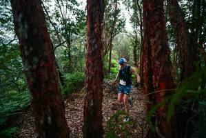 BIB: 
                            <button type="button" onclick="openModal(28163592)" class="btn btn-primary btn-sm float-right btn-popup" data-toggle="modal" data-target=".modal-high-quality">
                        <i class="fas fa-shopping-cart"></i> Add to Cart
                    </button>
                                            <button type="button" onclick="isThisMe(28163592, true)" class="btn btn-success btn-sm float-right btn-popup btn-isme hidden" data-toggle="tooltip" data-placement="bottom" title="นี่คือรูปของคุณใช่ไหม คลิกที่นี่เพื่อเอาเข้าอัลบั้ม">
                        <i class="fas fa-plus"></i> Add to album
                    </button>
                    <button type="button" onclick="isThisMe(28163592, false)" class="btn btn-warning btn-sm float-right btn-popup btn-isnotme hidden">
                        <i class="fas fa-ban"></i> Remove from album
                    </button>