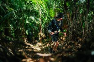 BIB: 
                            <button type="button" onclick="openModal(28255254)" class="btn btn-primary btn-sm float-right btn-popup" data-toggle="modal" data-target=".modal-high-quality">
                        <i class="fas fa-shopping-cart"></i> Add to Cart
                    </button>
                                            <button type="button" onclick="isThisMe(28255254, true)" class="btn btn-success btn-sm float-right btn-popup btn-isme hidden" data-toggle="tooltip" data-placement="bottom" title="นี่คือรูปของคุณใช่ไหม คลิกที่นี่เพื่อเอาเข้าอัลบั้ม">
                        <i class="fas fa-plus"></i> Add to album
                    </button>
                    <button type="button" onclick="isThisMe(28255254, false)" class="btn btn-warning btn-sm float-right btn-popup btn-isnotme hidden">
                        <i class="fas fa-ban"></i> Remove from album
                    </button>