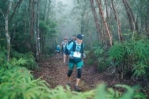 BIB: 
                            <button type="button" onclick="openModal(28492452)" class="btn btn-primary btn-sm float-right btn-popup" data-toggle="modal" data-target=".modal-high-quality">
                        <i class="fas fa-shopping-cart"></i> Add to Cart
                    </button>
                                            <button type="button" onclick="isThisMe(28492452, true)" class="btn btn-success btn-sm float-right btn-popup btn-isme hidden" data-toggle="tooltip" data-placement="bottom" title="นี่คือรูปของคุณใช่ไหม คลิกที่นี่เพื่อเอาเข้าอัลบั้ม">
                        <i class="fas fa-plus"></i> Add to album
                    </button>
                    <button type="button" onclick="isThisMe(28492452, false)" class="btn btn-warning btn-sm float-right btn-popup btn-isnotme hidden">
                        <i class="fas fa-ban"></i> Remove from album
                    </button>