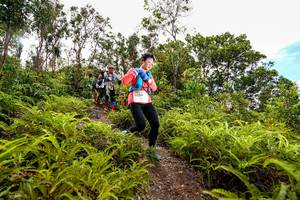 BIB: 9259
                            <button type="button" onclick="openModal(18439811)" class="btn btn-primary btn-sm float-right btn-popup" data-toggle="modal" data-target=".modal-high-quality">
                        <i class="fas fa-shopping-cart"></i> Add to Cart
                    </button>
                                            <button type="button" onclick="isThisMe(18439811, true)" class="btn btn-success btn-sm float-right btn-popup btn-isme hidden" data-toggle="tooltip" data-placement="bottom" title="นี่คือรูปของคุณใช่ไหม คลิกที่นี่เพื่อเอาเข้าอัลบั้ม">
                        <i class="fas fa-plus"></i> Add to album
                    </button>
                    <button type="button" onclick="isThisMe(18439811, false)" class="btn btn-warning btn-sm float-right btn-popup btn-isnotme hidden">
                        <i class="fas fa-ban"></i> Remove from album
                    </button>