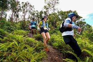 BIB: 
                            <button type="button" onclick="openModal(18439838)" class="btn btn-primary btn-sm float-right btn-popup" data-toggle="modal" data-target=".modal-high-quality">
                        <i class="fas fa-shopping-cart"></i> Add to Cart
                    </button>
                                            <button type="button" onclick="isThisMe(18439838, true)" class="btn btn-success btn-sm float-right btn-popup btn-isme hidden" data-toggle="tooltip" data-placement="bottom" title="นี่คือรูปของคุณใช่ไหม คลิกที่นี่เพื่อเอาเข้าอัลบั้ม">
                        <i class="fas fa-plus"></i> Add to album
                    </button>
                    <button type="button" onclick="isThisMe(18439838, false)" class="btn btn-warning btn-sm float-right btn-popup btn-isnotme hidden">
                        <i class="fas fa-ban"></i> Remove from album
                    </button>