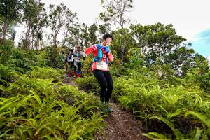 BIB: 0259
                            <button type="button" onclick="openModal(18439813)" class="btn btn-primary btn-sm float-right btn-popup" data-toggle="modal" data-target=".modal-high-quality">
                        <i class="fas fa-shopping-cart"></i> Add to Cart
                    </button>
                                            <button type="button" onclick="isThisMe(18439813, true)" class="btn btn-success btn-sm float-right btn-popup btn-isme hidden" data-toggle="tooltip" data-placement="bottom" title="นี่คือรูปของคุณใช่ไหม คลิกที่นี่เพื่อเอาเข้าอัลบั้ม">
                        <i class="fas fa-plus"></i> Add to album
                    </button>
                    <button type="button" onclick="isThisMe(18439813, false)" class="btn btn-warning btn-sm float-right btn-popup btn-isnotme hidden">
                        <i class="fas fa-ban"></i> Remove from album
                    </button>