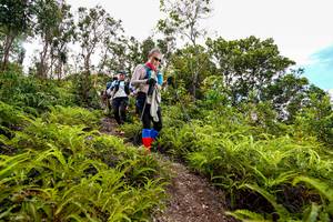 BIB: 
                            <button type="button" onclick="openModal(18439825)" class="btn btn-primary btn-sm float-right btn-popup" data-toggle="modal" data-target=".modal-high-quality">
                        <i class="fas fa-shopping-cart"></i> Add to Cart
                    </button>
                                            <button type="button" onclick="isThisMe(18439825, true)" class="btn btn-success btn-sm float-right btn-popup btn-isme hidden" data-toggle="tooltip" data-placement="bottom" title="นี่คือรูปของคุณใช่ไหม คลิกที่นี่เพื่อเอาเข้าอัลบั้ม">
                        <i class="fas fa-plus"></i> Add to album
                    </button>
                    <button type="button" onclick="isThisMe(18439825, false)" class="btn btn-warning btn-sm float-right btn-popup btn-isnotme hidden">
                        <i class="fas fa-ban"></i> Remove from album
                    </button>