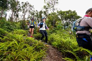 BIB: 
                            <button type="button" onclick="openModal(18439831)" class="btn btn-primary btn-sm float-right btn-popup" data-toggle="modal" data-target=".modal-high-quality">
                        <i class="fas fa-shopping-cart"></i> Add to Cart
                    </button>
                                            <button type="button" onclick="isThisMe(18439831, true)" class="btn btn-success btn-sm float-right btn-popup btn-isme hidden" data-toggle="tooltip" data-placement="bottom" title="นี่คือรูปของคุณใช่ไหม คลิกที่นี่เพื่อเอาเข้าอัลบั้ม">
                        <i class="fas fa-plus"></i> Add to album
                    </button>
                    <button type="button" onclick="isThisMe(18439831, false)" class="btn btn-warning btn-sm float-right btn-popup btn-isnotme hidden">
                        <i class="fas fa-ban"></i> Remove from album
                    </button>